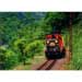 Sagano Train