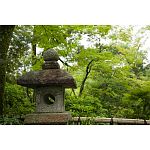 stone lanterns at Meiji Shrine