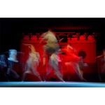 an exciting kung fu show