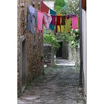 Motovun