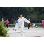 the Chinese love kung fu!