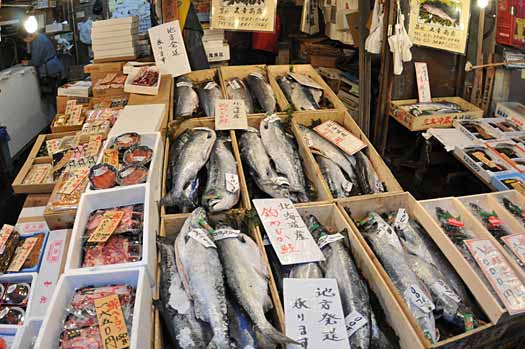 Tsukiji Fish Market