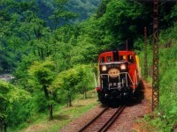 Sagano Romantic Train Kyoto