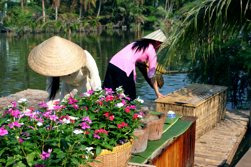 vietnam travel advice