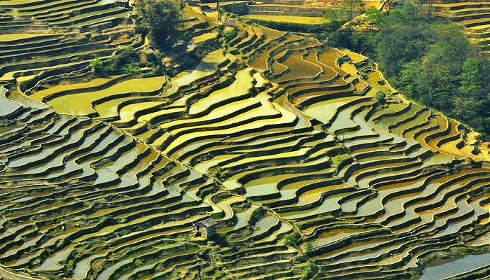 Image result for Cultural Landscape of Honghe Hani Rice Terraces