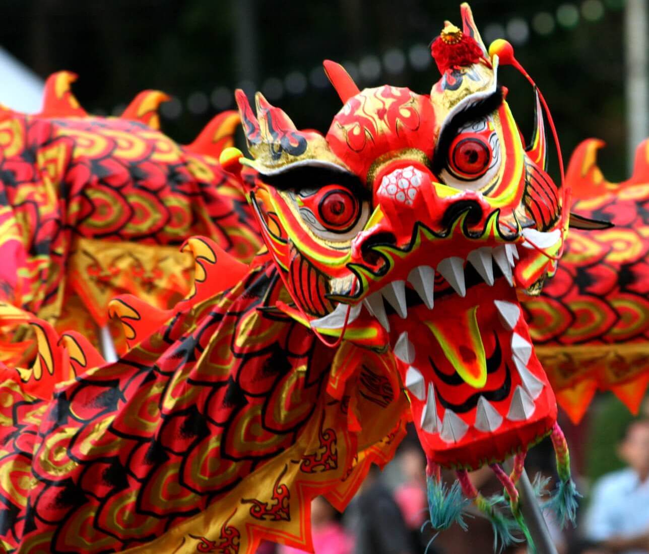 Chinese New Year Parade